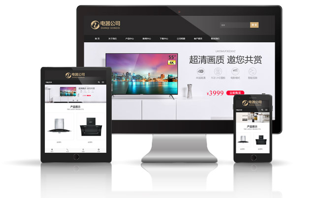 某某电器有限公司